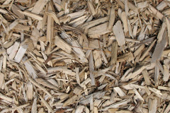 biomass boilers Llanfyllin